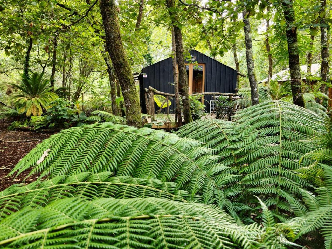 Camping Aux Couleurs Du Ferret Lège-Cap-Ferret Zewnętrze zdjęcie